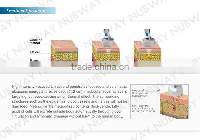 HIFUSHAPE hifu high intensity focused ultrasound slimming machine for body hifushape