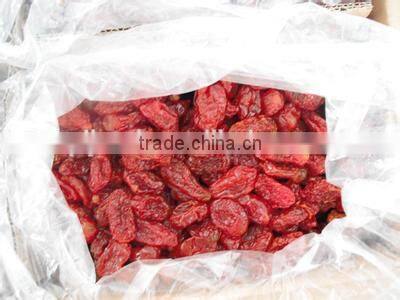 Top Quality Organic Dried Tomato