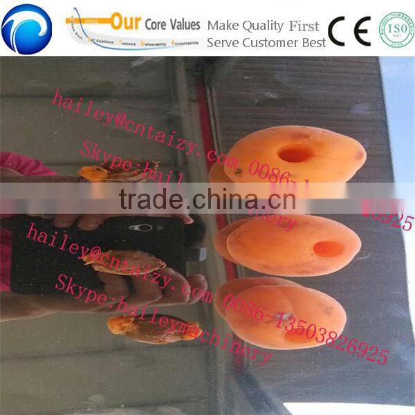 Automatic Jujube/Dates Pitter for Sale, Dates Pitting Machine