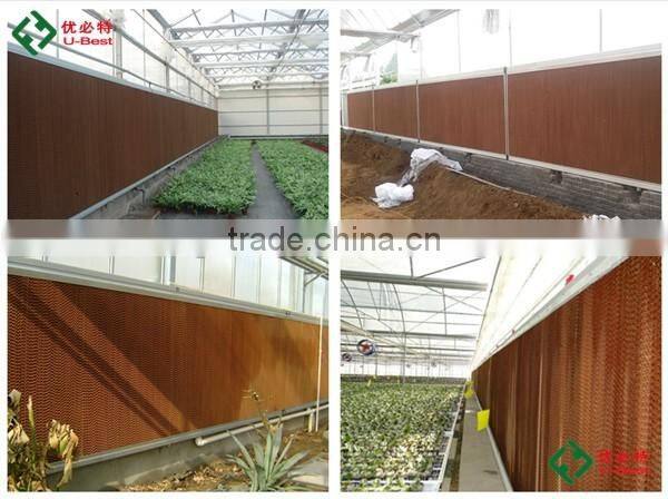 Automatic Chicken House Equipment For Poultry Chicken Farm