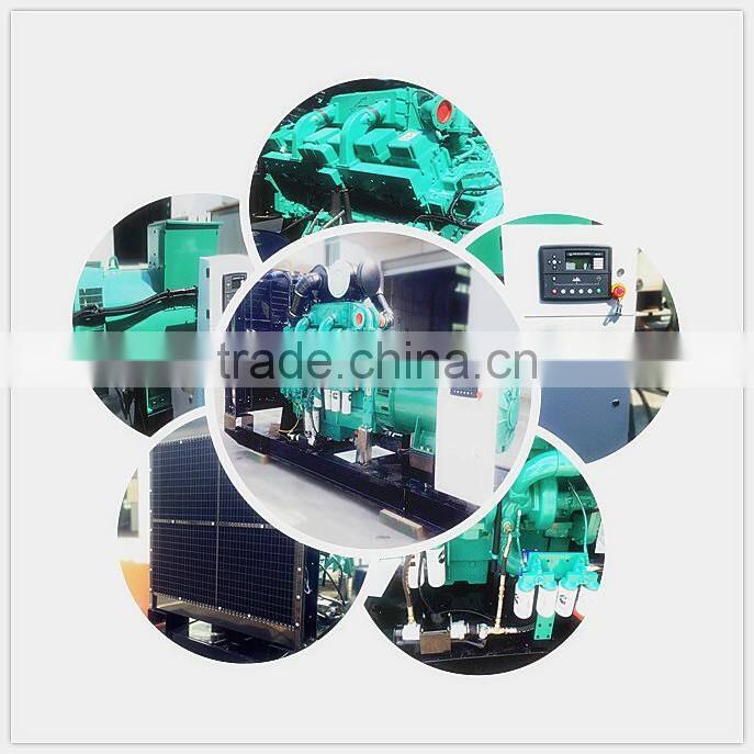 Camda Factory biogas generator sets with/without canopy 250kw biogas generator