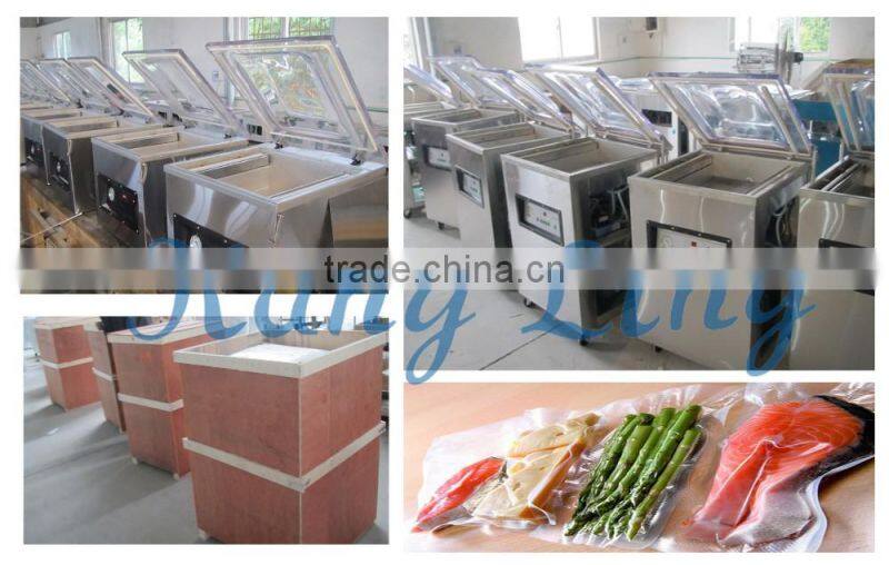 DZ400 Food Vacuum Packaging Machine