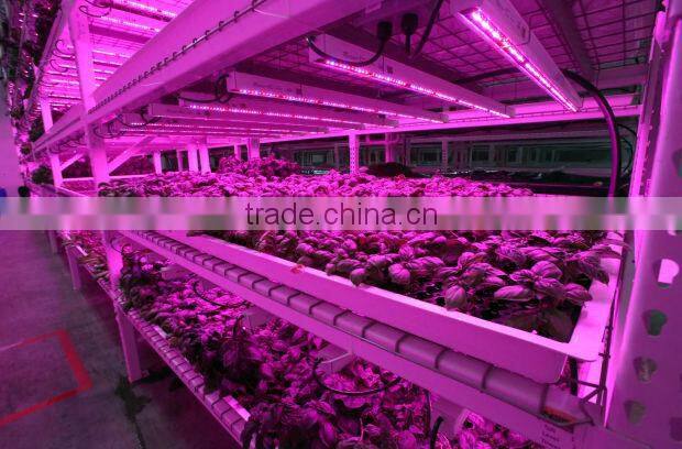 2017 1.2m 30w LED grow lights bar hydroponics light