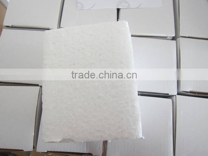 Unique plastic souvenir gift snow globes