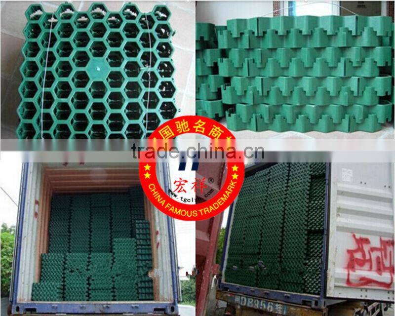 Green parking space Grass grid