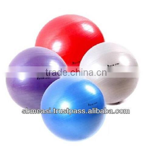 Fitness Exercise Yoga Ball 55cm