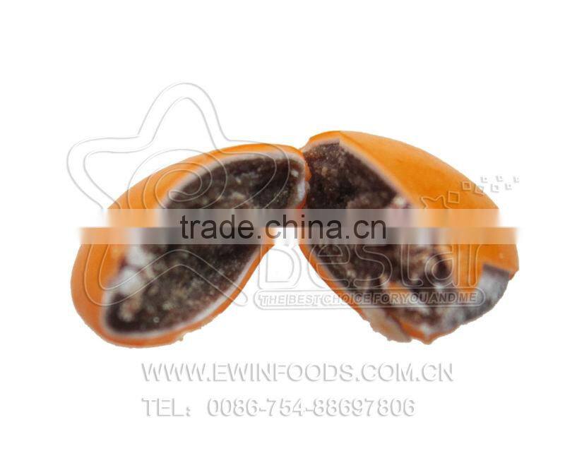 Gold Coin Chocolate and Chocolate Bean