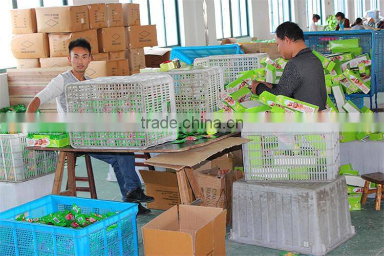 Spring Coil Anti Mosquito Bug Pest Repel Wrist Band Bracelet Insect Repellent