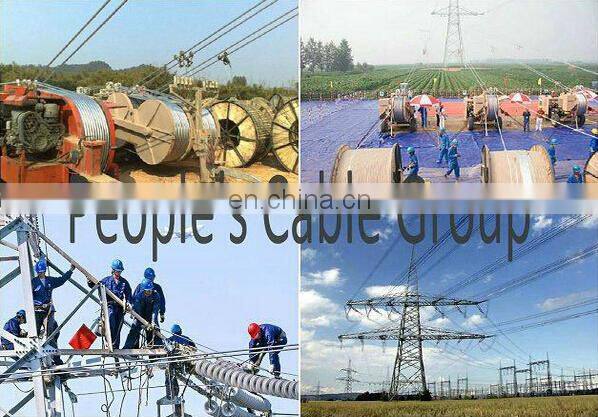 ASTM B232 BRANT/IBIS/LARK 397.5 mcm overhead ACSR bare conductor