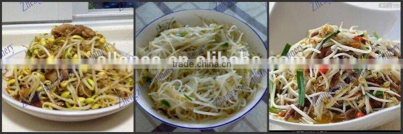 Automatic bean sprout machine / commercial mung bean sprout machine for sale