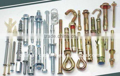 stainless steel Hex head expansion bolt