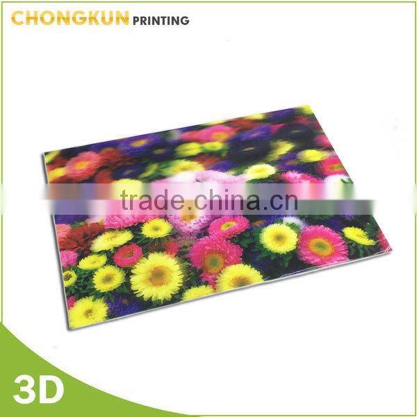 Lenticular printing 3D wall pictures of Japanese Sport Star