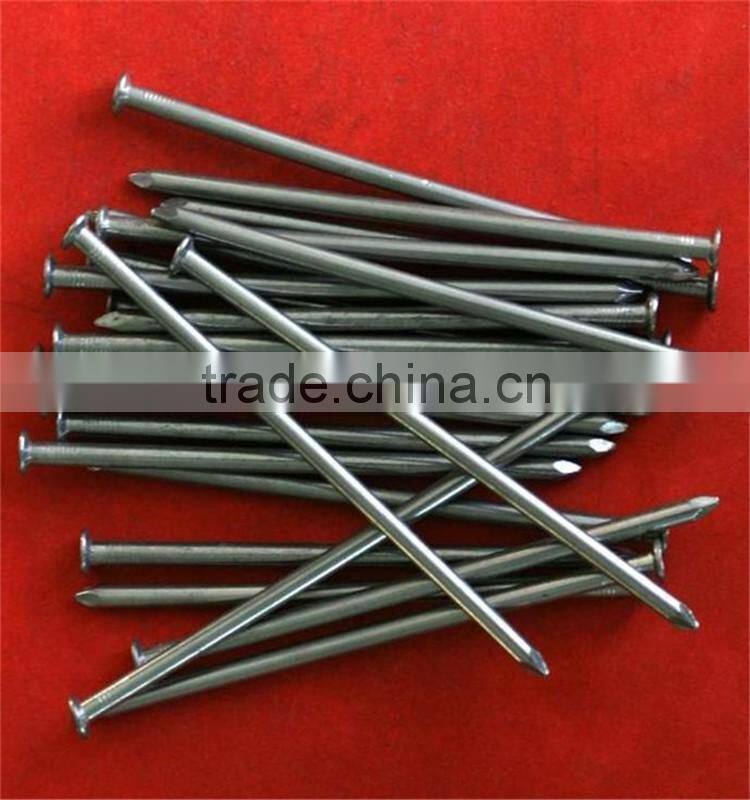common nail/iron nail factory