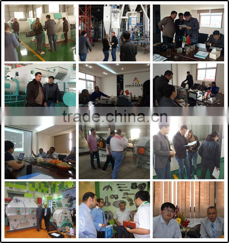 two shafts chicken feed mixing machine