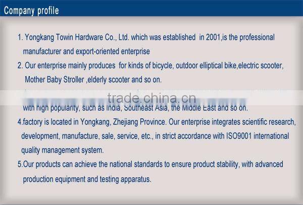 Electric Mini Scooters 2 Big Wheel Balance Scooter