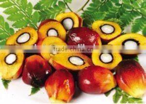 Long time working fruit palm threshing machine/fresh palm process machine/palm thresher