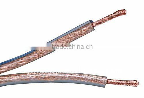 2 CoreTransparent Speaker Cables