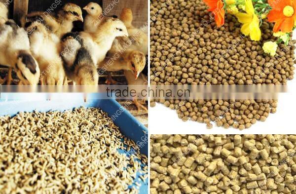 Professional poultry feed production plant