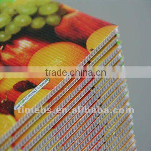 Colored corrugated plastic signs board