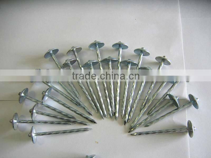 9bwg straight umbrella head galvanized roofing nails