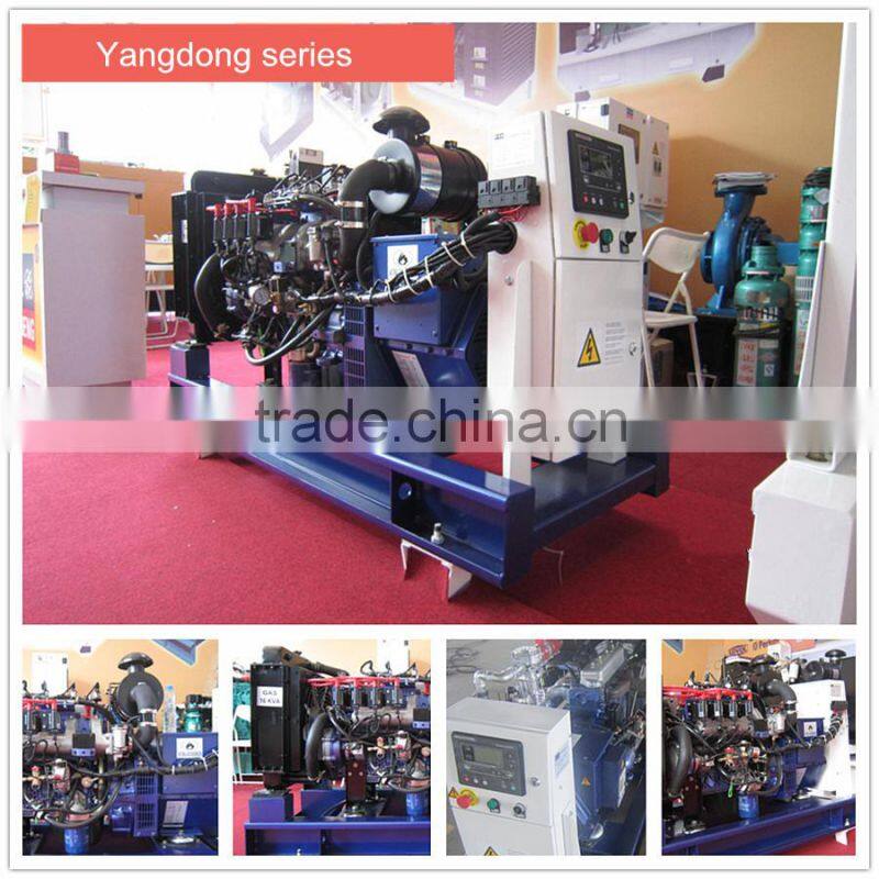 Low noise!! 10kw-500kw power natural gas generator 10kw 20kw 50kw 100kw 200kw 300kw natural /biogas generator manufacture price