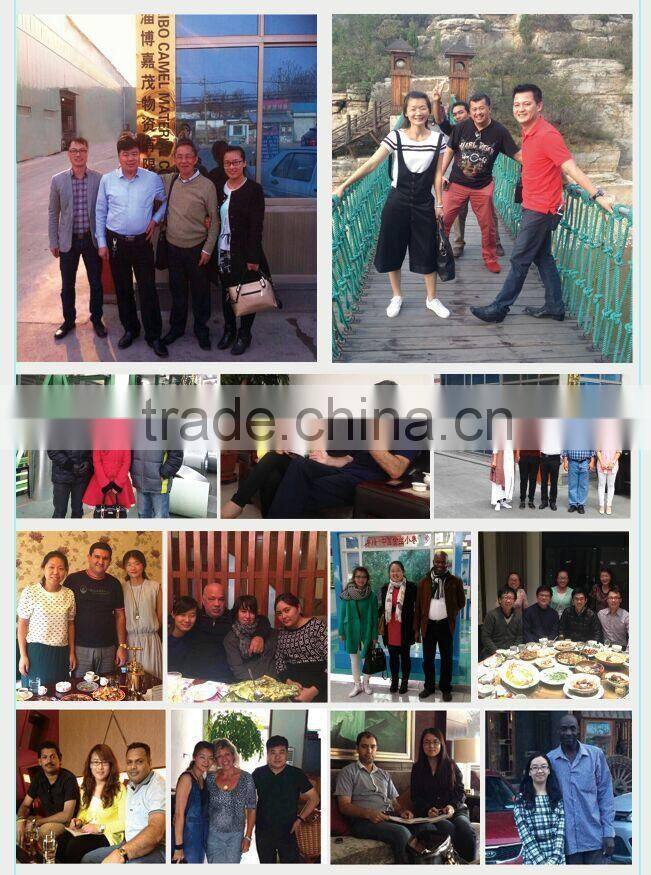 Building material ppgi prepainted galvanized steel coils