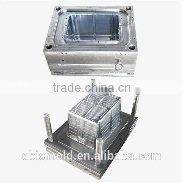 Professional custom plastic injection mold components Insert mould