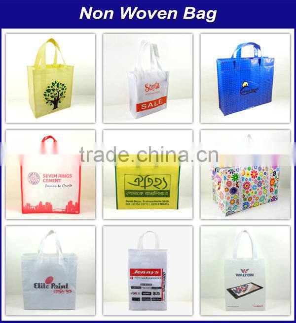 Ladies Handbag with many Pockets