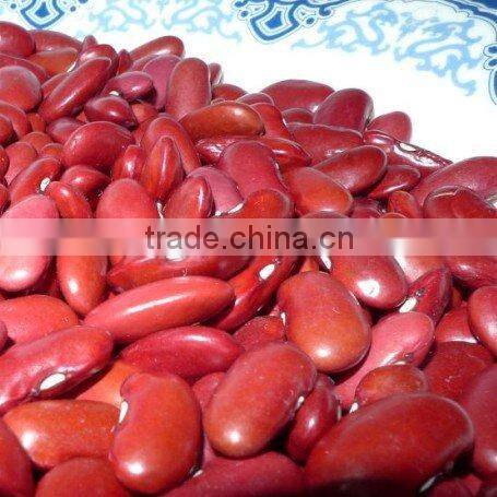 all size new crop kidney bean 2010
