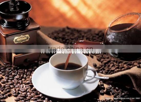 Natural and Bulk Packaging Raw Green Coffee Beans Popular Products