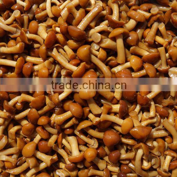 high quality salty flavor slice mushroom