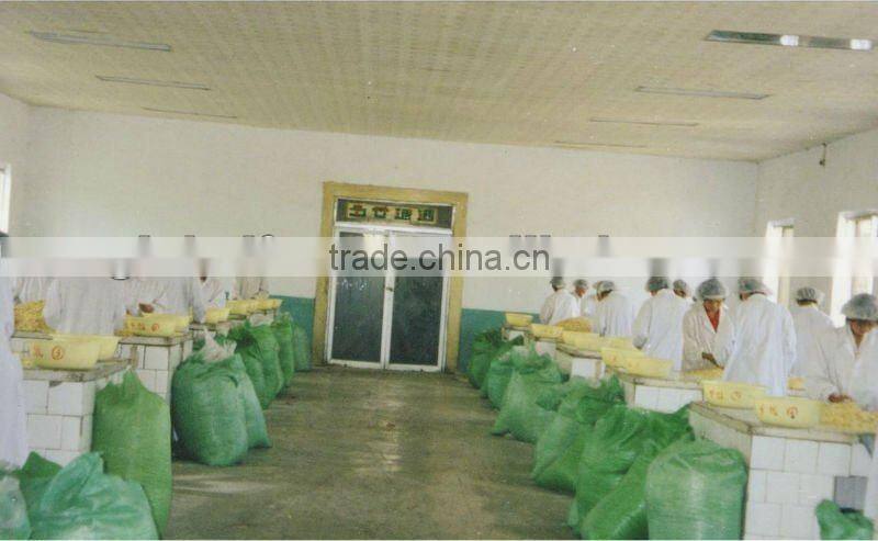 Onion products onion powder dehydrated onion