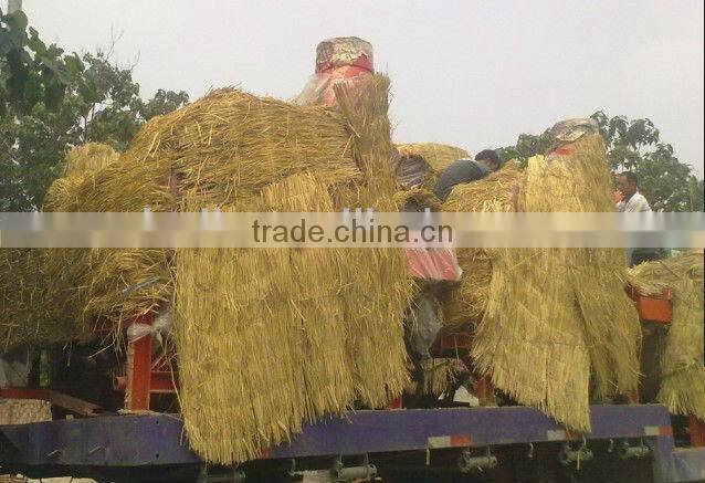 Wholesale Multifunction Forage Cutter//Straw Crusher 0086-13703825271