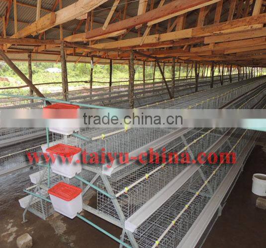 TAIYU Poultry water drinking cups