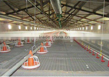 New poultry equipment feeder and drinker