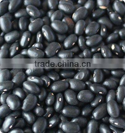Jiexun automatic CCD black beans color sorter machine