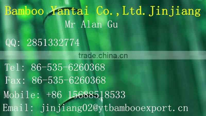 wholesale good quality beautiful beaded bamboo skewers for party