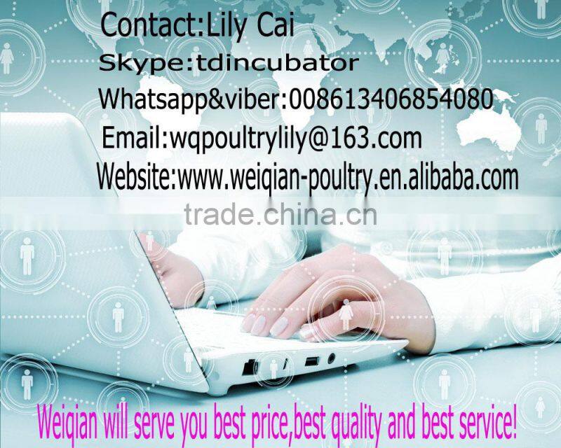 1.5L/3L/6L Strong Plastic Chicken Chick Poultry Drinker Feeder Waterer wth Handle