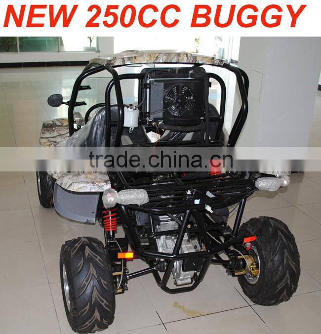 EEC 250CC BEACH BUGGY/PEDAL GO KART(MC-441)
