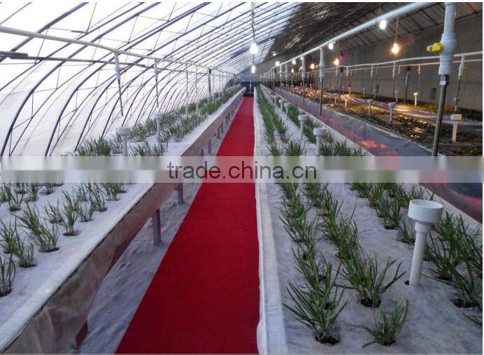 hydroponics growing equipment for sale