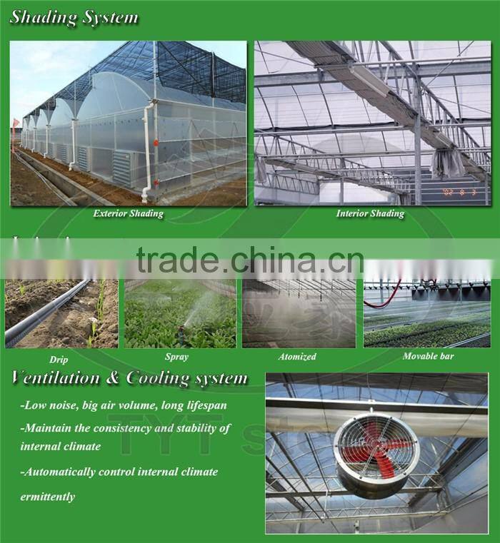 movable seedbed bed for agricultural greenhouse galvanized steel pipe for greenhouse commercial greenhouses