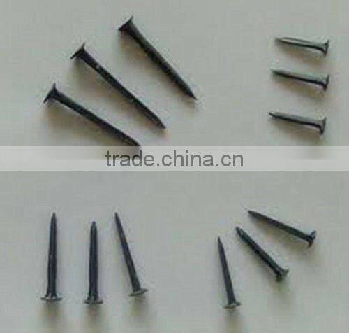 Shoe Tack Nails-Hebei China Supply Best Quality and Price