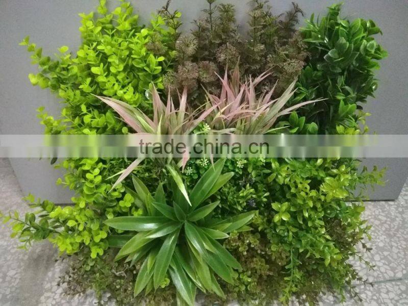 Decorative frame wall hanging grass plants