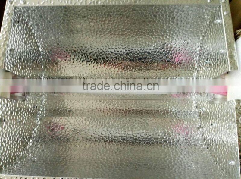 1000 Watt Double Ended Light for Hydrponic