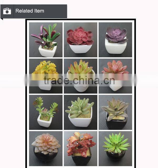 Artificial succulent combination mini succulent potted High quality mini artificial catus