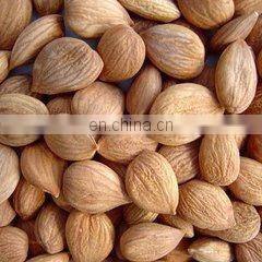 Good Feedback Hazelnut Peeling Machine for High Evaluate