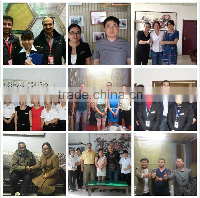 300 Micron Stainless Steel Fine Wire Mesh for filter