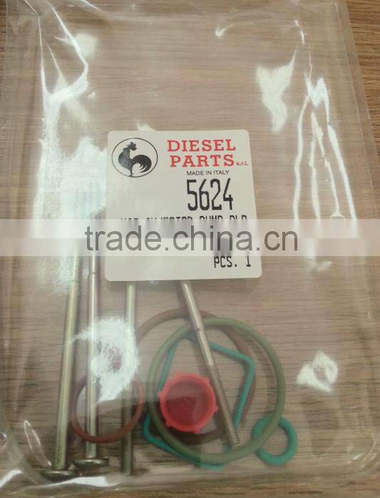 Repair Kits 2417010001 for fuel pump 800001