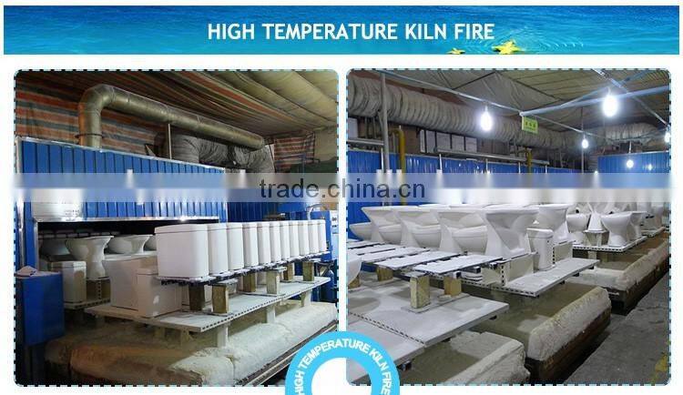 TJZ-06ce 2016 top bidet toilet with bidet function cheap model smart bidet toilet