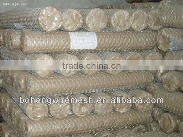 Hot sale hexagonal wire mesh for poultry fence